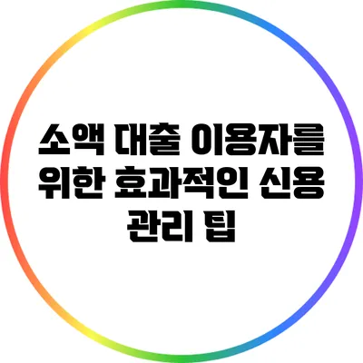 소액 대출 이용자를 위한 효과적인 신용 관리 팁