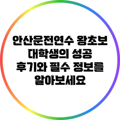 안산운전연수: 왕초보 대학생의 성공 후기와 필수 정보를 알아보세요