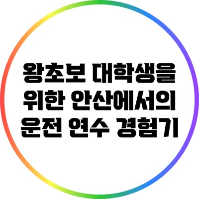 왕초보 대학생을 위한 안산에서의 운전 연수 경험기