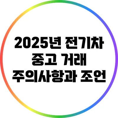 2025년 전기차 중고 거래: 주의사항과 조언
