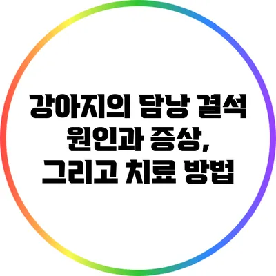 강아지의 담낭 결석: 원인과 증상, 그리고 치료 방법