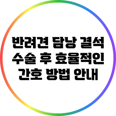 반려견 담낭 결석 수술 후 효율적인 간호 방법 안내