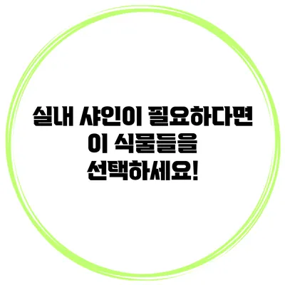 실내 샤인이 필요하다면 이 식물들을 선택하세요!